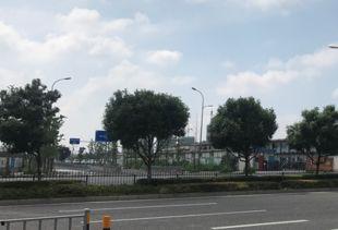 广德湖北路最新爆料