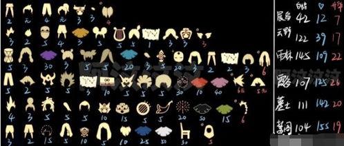 光遇物品最新爆料图,神秘物品惊艳亮相，探索未知领域！