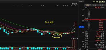 集中爆料最新分析图,聚焦热点事件背后的真相
