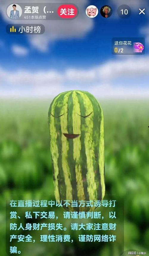 最新爆料大瓜,神秘大瓜震惊业界，真相即将揭晓！