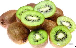 猕猴桃最新爆料文案